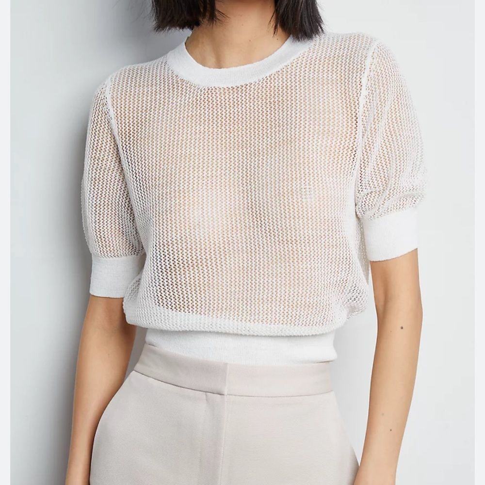 Aritzia Babaton Lucida Sweater top